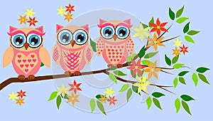 Cute girl owls. Baby showers, parties for baby girls