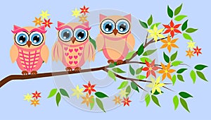 Cute girl owls. Baby showers, parties for baby girls