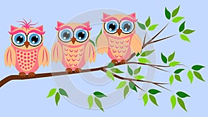 Cute girl owls. Baby showers, parties for baby girls