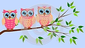 Cute girl owls. Baby showers, parties for baby girls