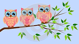 Cute girl owls. Baby showers, parties for baby girls