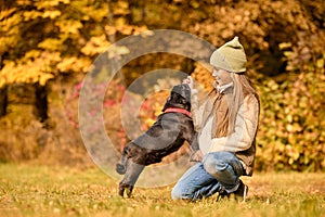 A cute girl playing with her dog in the park