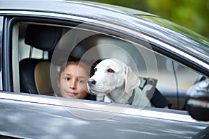 A cute girl with puppy in the black car. Pet concept.