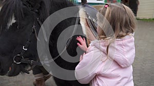 cute girl strokes brown horse. Friendship of child and pony. A pet on the farm.