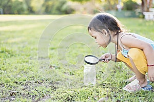 Cute girl using magnifying glass to look at bugs in glass jars Learn to use science-related observations