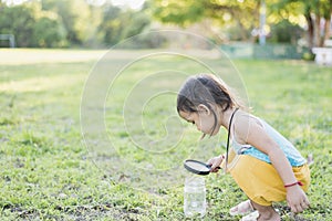 Cute girl using magnifying glass to look at bugs in glass jars Learn to use science-related observations