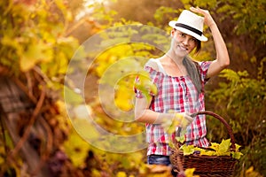 Cute girl in vineyard