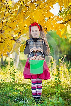 Cute girl with walnuts from the walnut harvest in the garden.