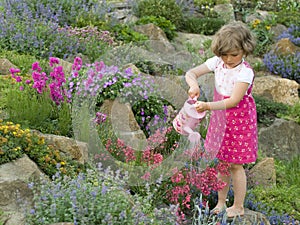 Carino irrigazione fiore giardino 