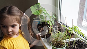Cute girl watering seedlings on the windowsill first spring flowers. home interior and decoration. Child taking care of