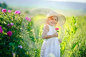 Cute girl wearing hat and white dress stand in the pink flower field of Sunn Hemp Crotalaria Juncea