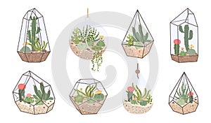 Cute glass florarium, geometric terrarium with succulents and cactus. Terrariums with tropical desert plants for home photo