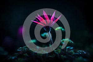 cute glowing small plant in dark jungle setting.highly realistic 3D fantasy with glowing effect