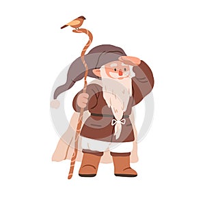 Cute gnome sorcerer with cane and bird. Fairytale bearded wizard. Fairy dwarf elf looking for smth. Old tiny magician in