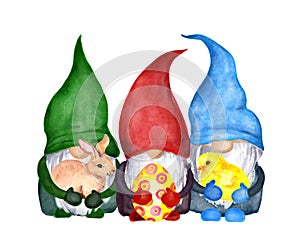 Cute gnomes with Easter bunny, small chick, colored egg in hands. Watercolor illustration