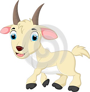 Cute goat cartoon