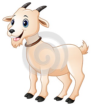 Cute goat cartoon