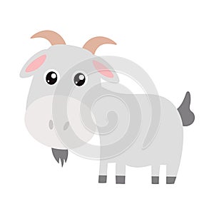 Cute goat for kids books. Vector