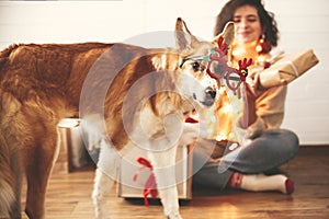 Cute golden dog looking with funny emotions in festive reindeer glasses with antlers on background of smiling girl in christmas