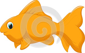 Cute golden fish cartoon