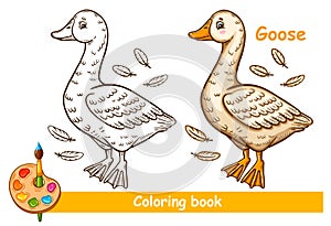 Cute goose duck farm water bird children coloring book page. Swan, drake agriculture animal character. Kid education game. Vector