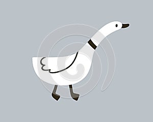 Cute goose in Scandinavian doodle style. Funny baby bird with long neck walking. Black and white drawing, feathered fowl