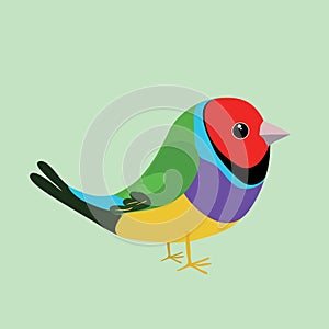 Cute gouldian finch vector illustration