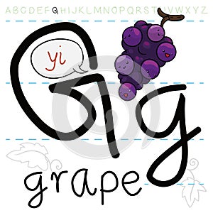 Cute Grapes in Bunch Learning the Letter G of Alphabet, Vector Illustration