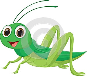 Cute grasshopper cartoon