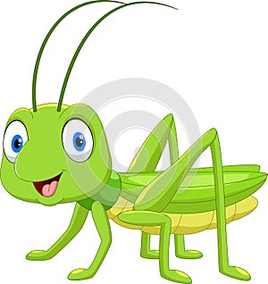 Cute grasshopper cartoon