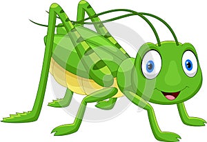 Cute grasshopper cartoon