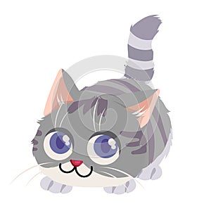 cute gray cat cartoon