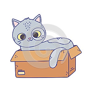 Cute gray cat lying in the cardboard box cartoon