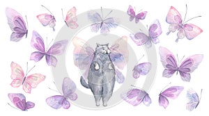 Cute gray cat with purple, pink and lilac butterflies. Watercolor illustration, hand drawn. Big set of isolated objects