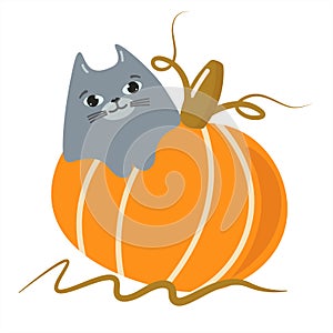 Cute gray good-natured cat on a pumpkin a Halloween. Isolated vector illustration on transparent background. For