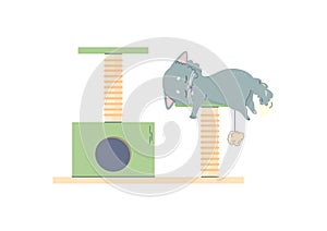 Cute gray kitty sleeping on cat tree, cat house, vector illustration