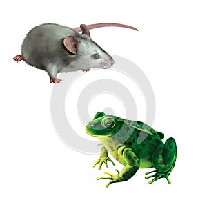 Cute gray mouse, Green frog with spots. spotted