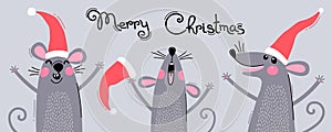 Cute gray rats in Santas hats wish Merry Christmas. Postcard with a symbol of 2020. Vector illustration