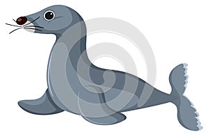 Cute gray seal on white background