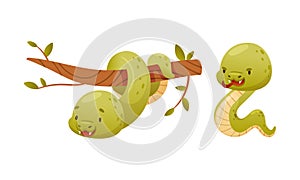 Cute Green Baby Snake as Crawling Creature Coiled Around Tree Branch and Slithering on the Ground Vector Set