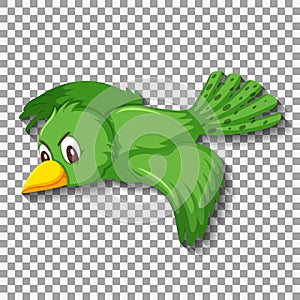 Cute green bird cartoon character