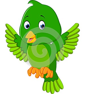 Cute green bird cartoon