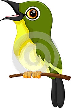 Cute green bird cartoon singing