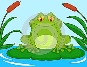 Cute green frog cartoon on a lily pad photo