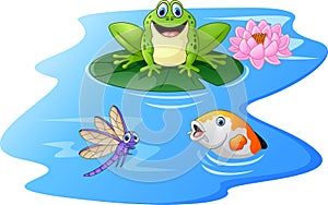 Cute green frog cartoon on a lily pad
