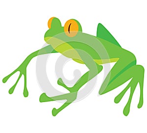 Cute green frog character.