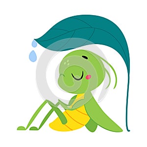 Cute Green Grasshopper Character Sitting Under Leaf with Drop Fall Vector Illustration