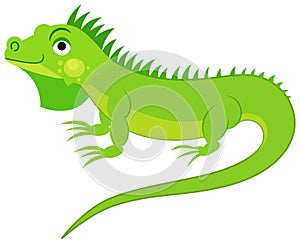 Cute green iguana isolated on white background. Flat vector