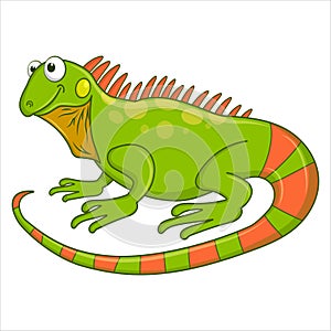 Cute Green Iguana lizard isolated on white background. Reptile animal cartoon character. Education card for kids learning animal.