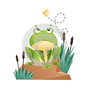 Cute Green Leaping Frog Character Sitting on Stone and Watching Fly Vector Illustration